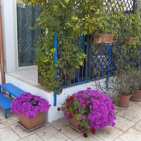 Noto Sole Di Sicilia